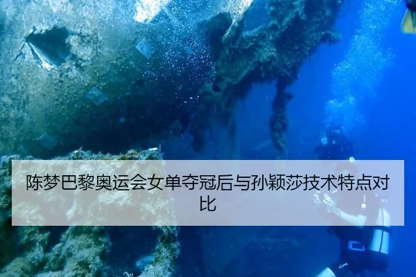 陈梦巴黎奥运会女单夺冠后与孙颖莎技术特点对比